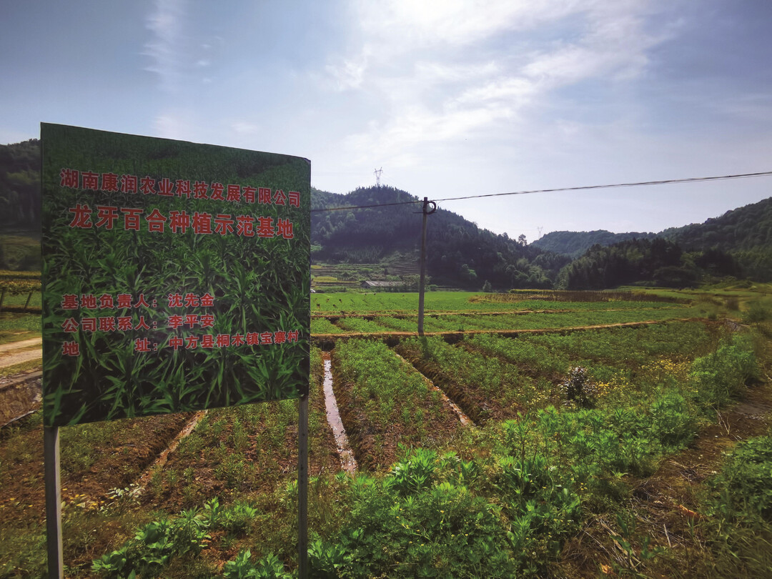 怀化日报|注金融活水 润发展沃土 ——中方县四措并举打造“有温度”的金融服务纪实