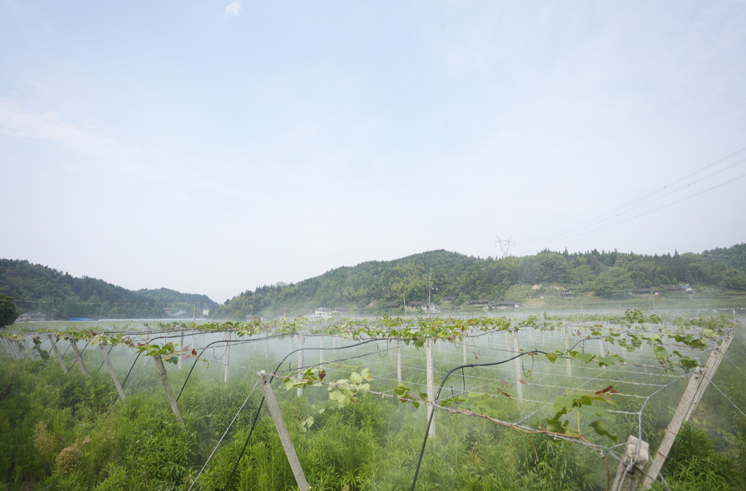 希望的田野|中方：水肥一体化绿色赋能乡村全面振兴