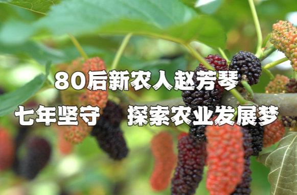 我们的新时代 | 80后新农人赵芳琴：七年坚守 探索农业发展梦