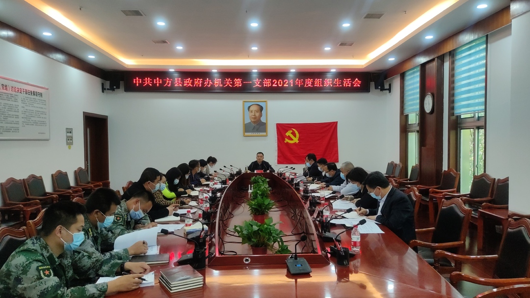 胡杰参加县政府办机关第一支部组织生活会