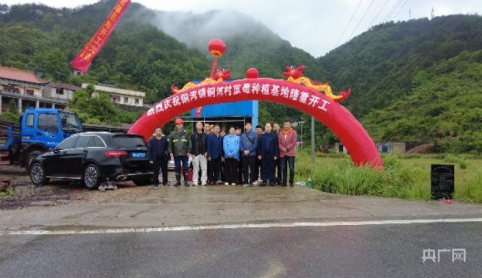 央广网｜【乡村振兴看湖南】中方：万亩蓝莓产业 助力乡村振兴