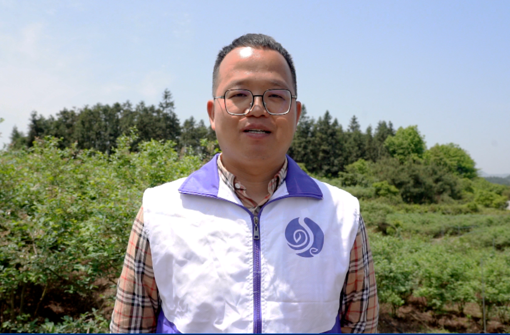 我们的新时代｜安亮：蓝莓为伴青春更出彩