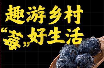 H5|趣游乡村 “莓”好生活 吃！喝！玩！乐！