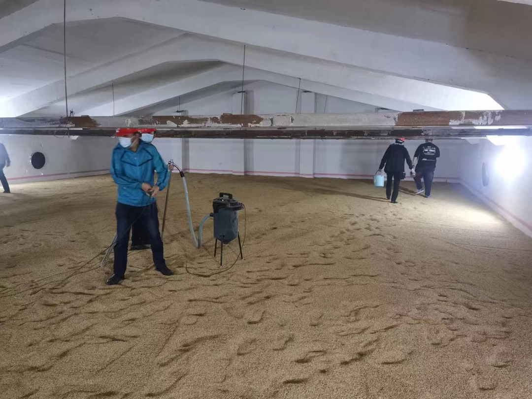 中方县县级储备粮数量真实、质量良好