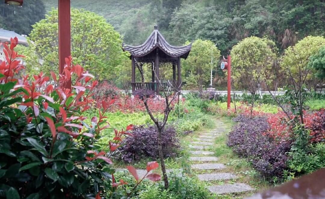 美丽乡村|人居环境整治再发力 美丽乡村“换新颜”