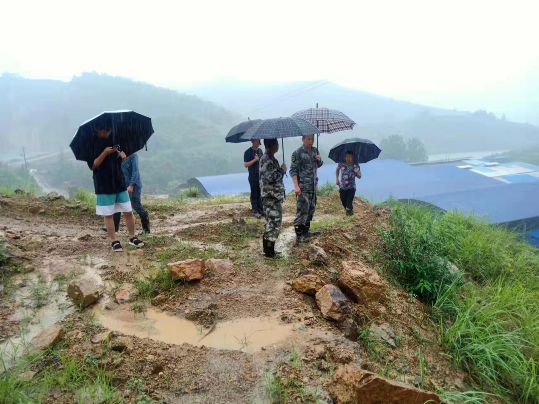 迎战强降雨 合力保安澜|泸阳镇：对辖区内地质灾害隐患点等进行地毯式风险隐患排查