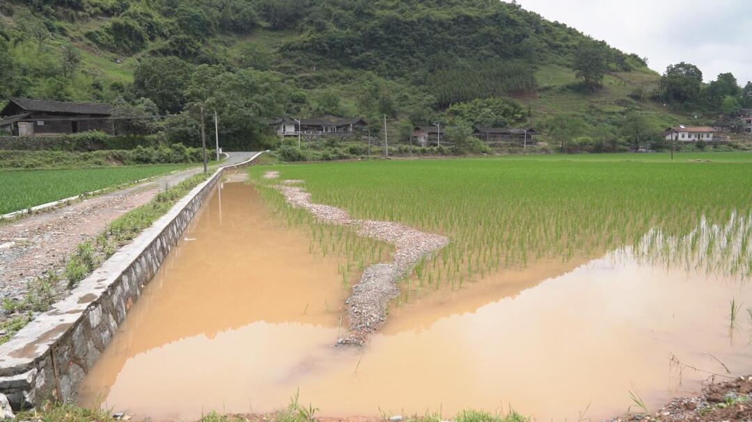 迎战强降雨 合力保安澜|中方县农业农村局全力以赴抗灾自救