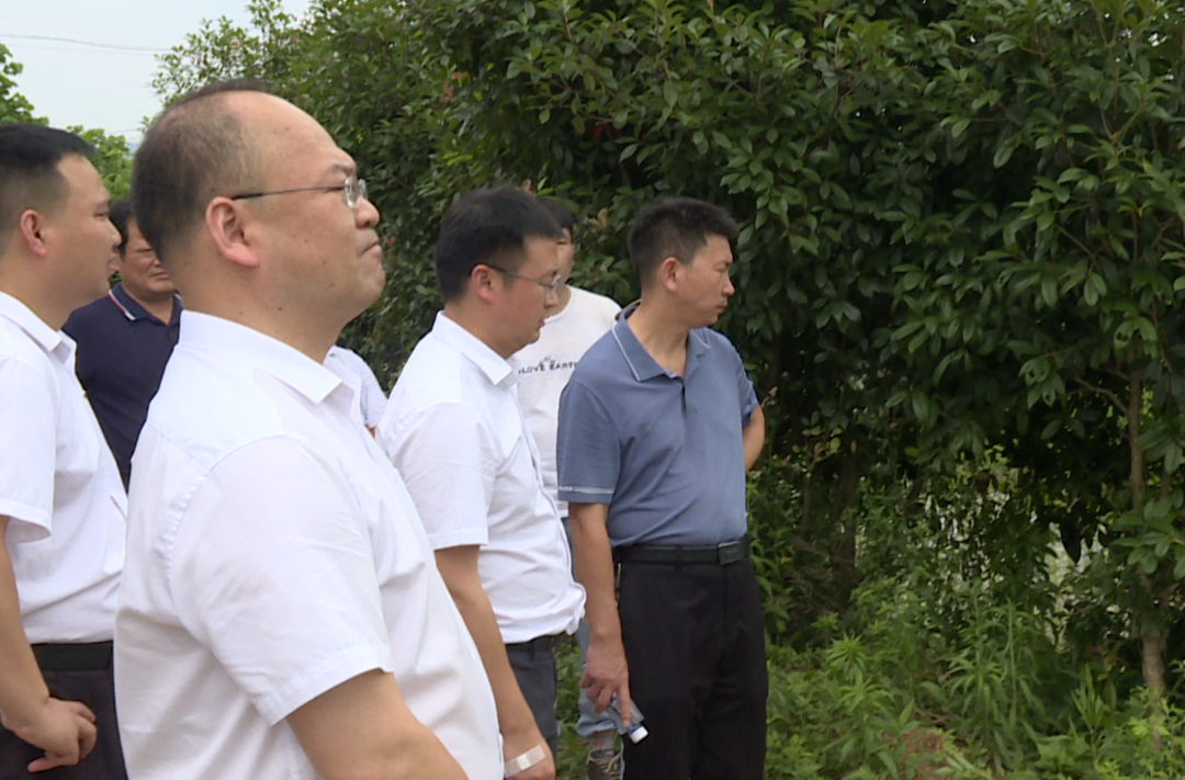 中方县开展农村人居环境整治示范村建设调度活动