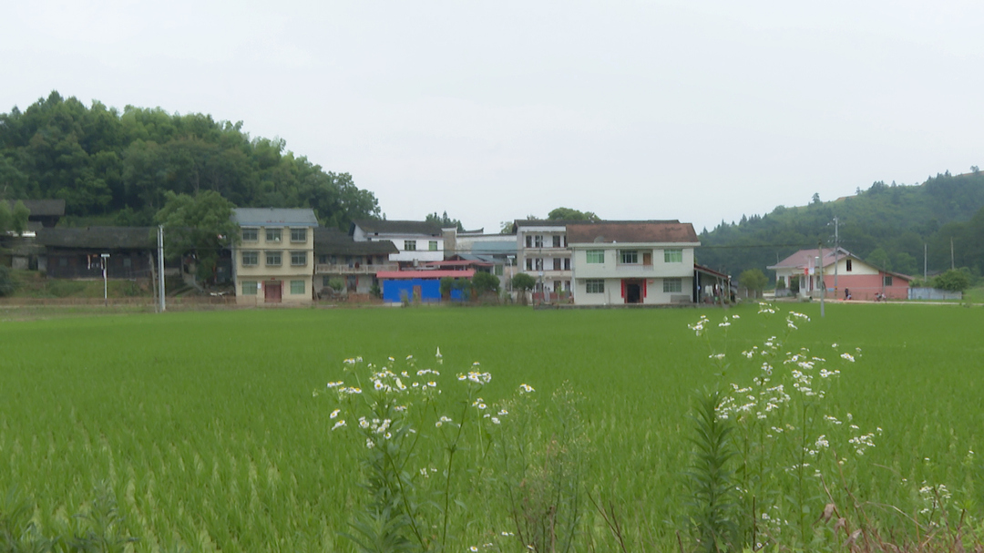 美丽乡村|中方黄溪：人居环境整治为乡村振兴提“颜”增“质”