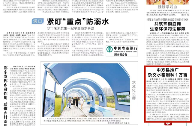 湖南日报｜中方县推广杂交水稻制种1万亩