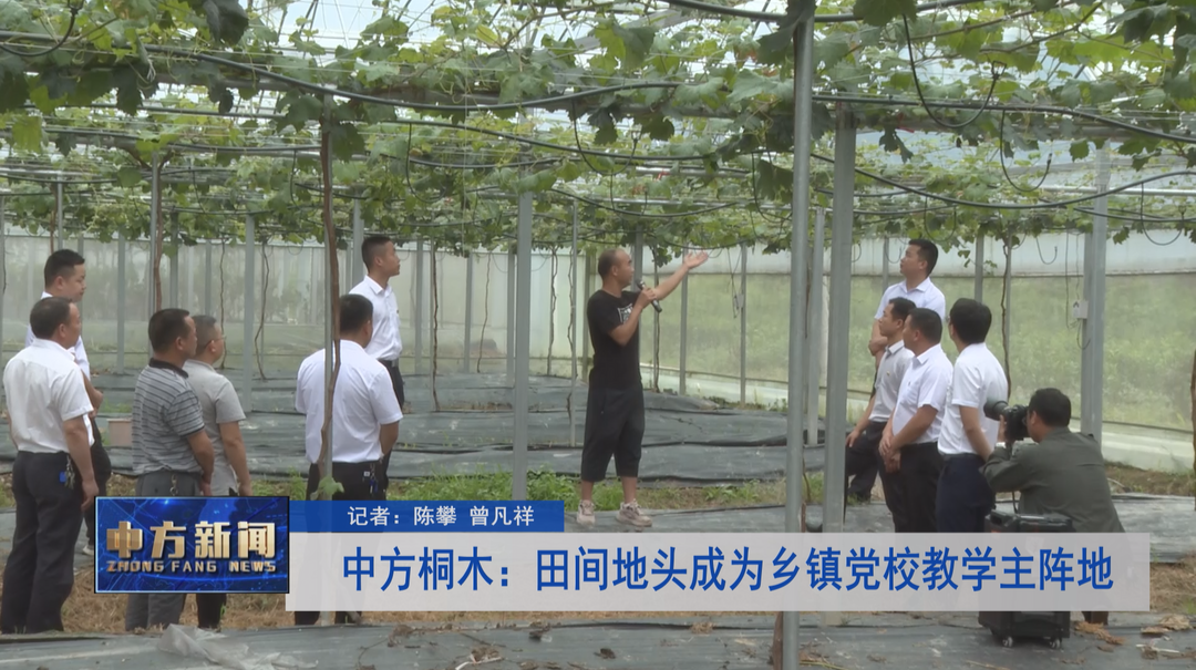 中方桐木：田间地头成为乡镇党校教学主阵地