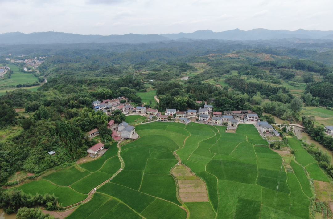中方新店坪村：洁净家园绘就宜居乡村