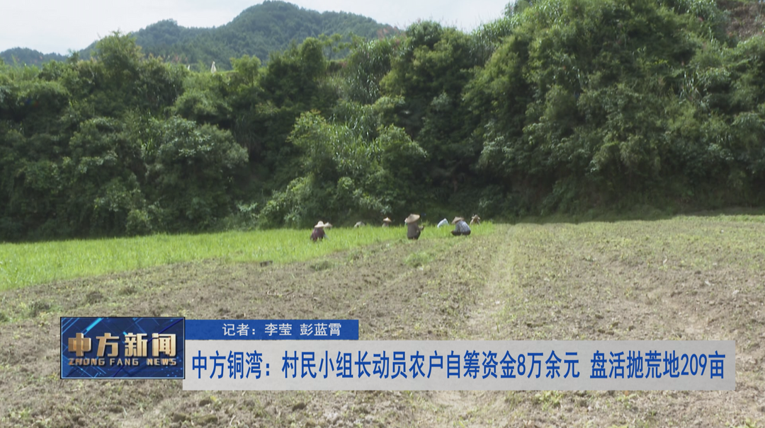中方铜湾：村民小组长动员农户自筹资金8万余元 盘活抛荒地209亩