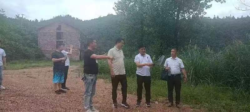 陈红利深入铜湾镇黄溪村调研人居环境整治工作