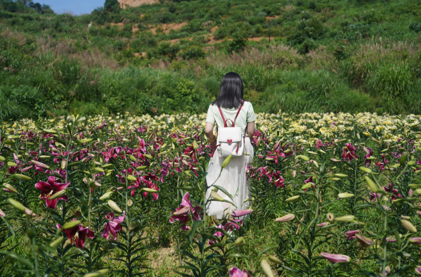 一起向未来|中方：花团锦簇醉人心 农旅融合助力乡村振兴