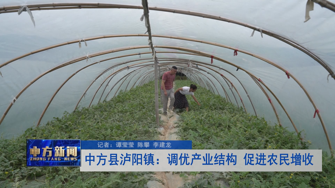 中方县泸阳镇：调优产业结构 促进农民增收