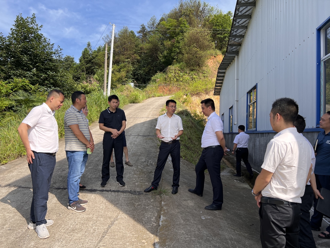 张家铣深入接龙镇调研乡村振兴工作