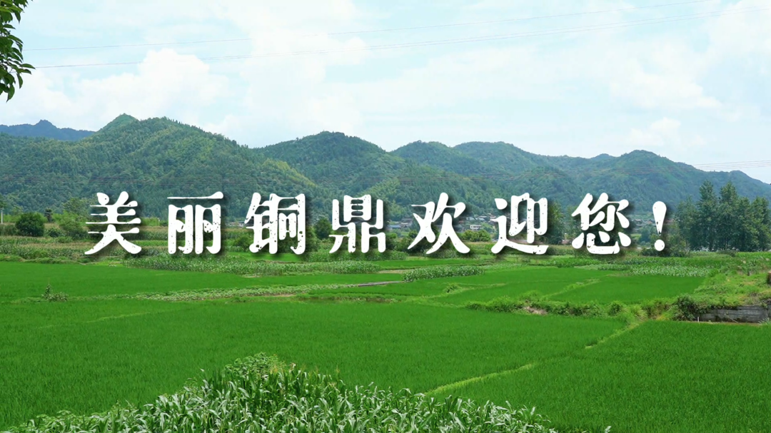 中方铜鼎：绘就美丽乡村新画卷