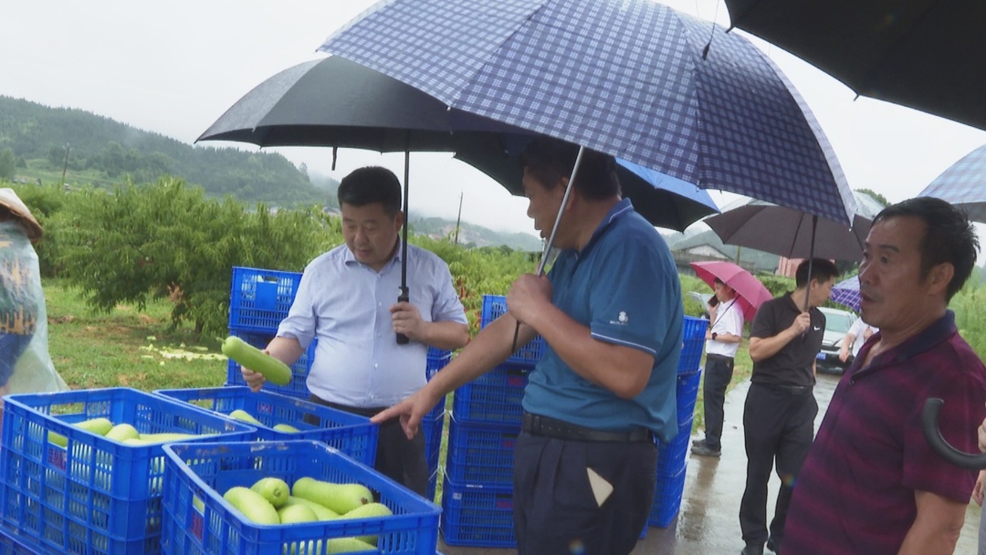 副市长杜登峰到中方调研