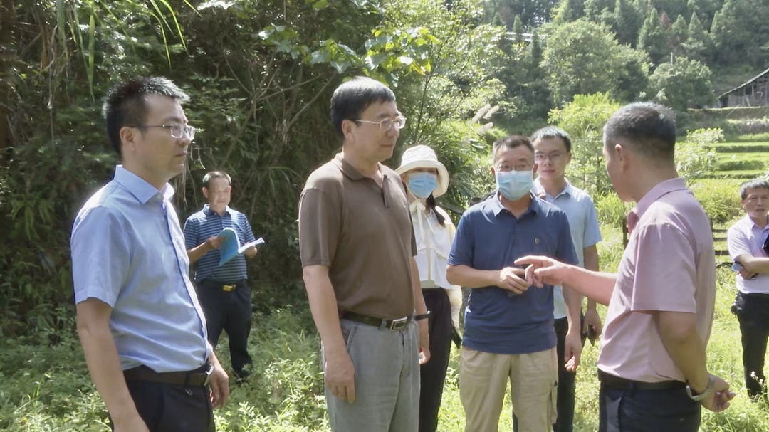 自然资源部调研组到中方县调研打击“洗洞”盗采金矿专项整治工作