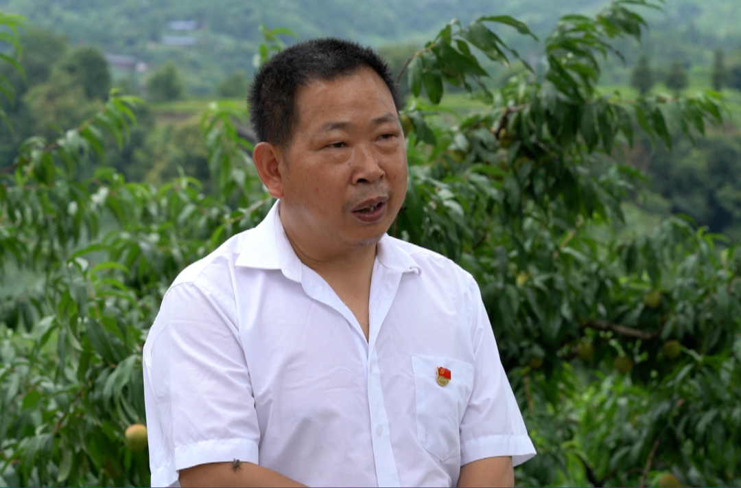 喜迎二十大·永远跟党走丨向往：让半界变得更加美丽富饶