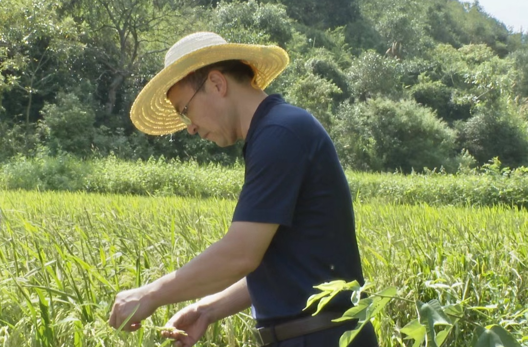 张家铣深入铜湾镇调研指导抗旱工作