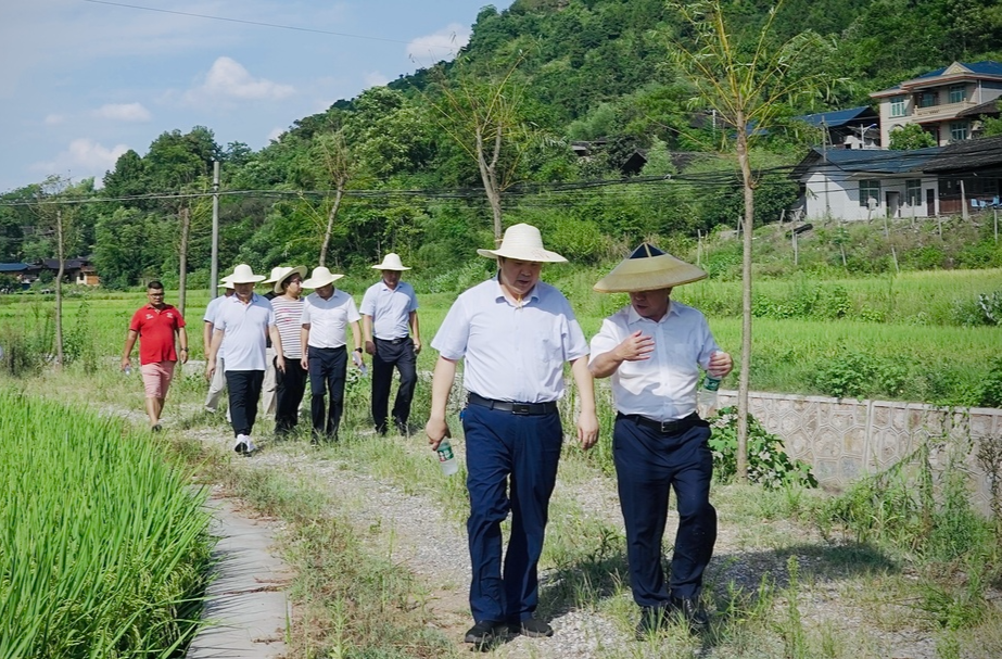 湖南省农业厅调研组到中方调研高标准农田建设项目和农业生产抗旱工作