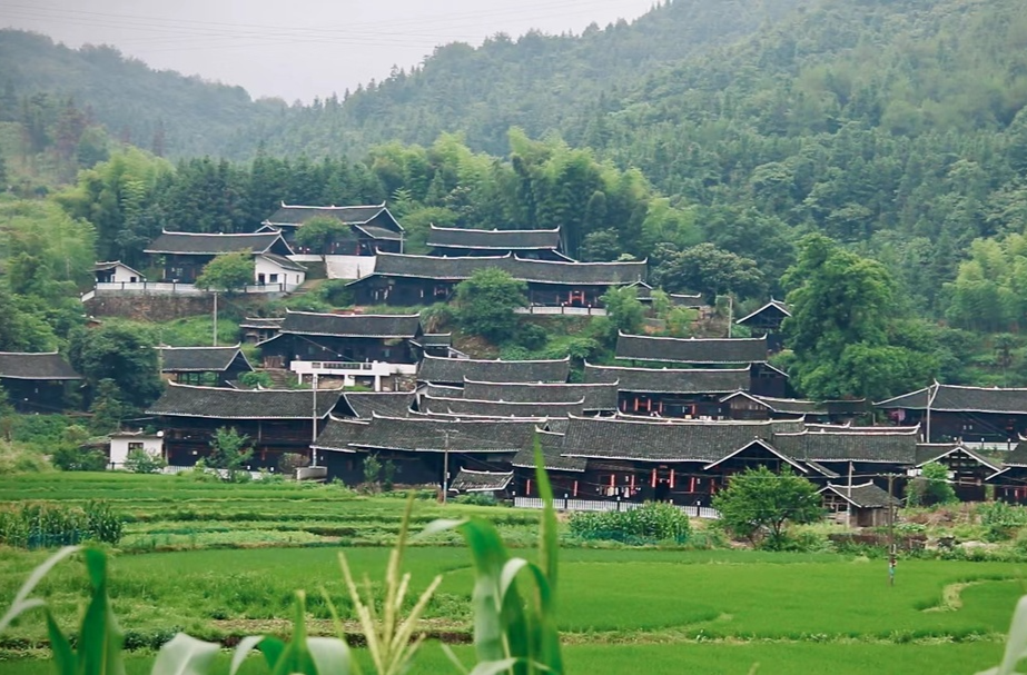 喜迎二十大· 非凡的十年|中方：全力打造武陵山片区乡村振兴示范区
