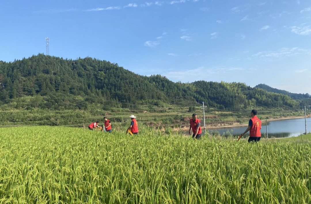 中方县：干群齐心抗旱情  千方百计解民忧