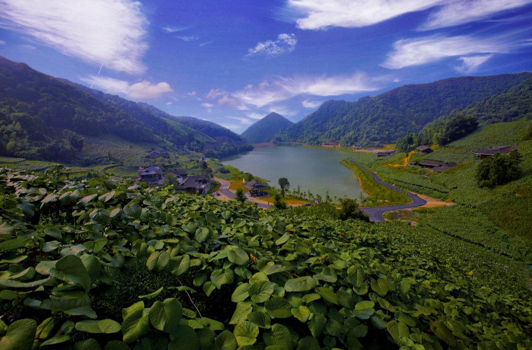 湖南乡村振兴2021年“十大”优秀案例典型村|中方大松坡村：打造村庄美、农民富、产业兴、人和谐的乡村振兴“龙头样板”