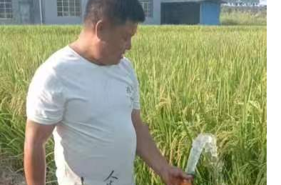 中方县中方镇：镇村联动，多举措防旱抗旱