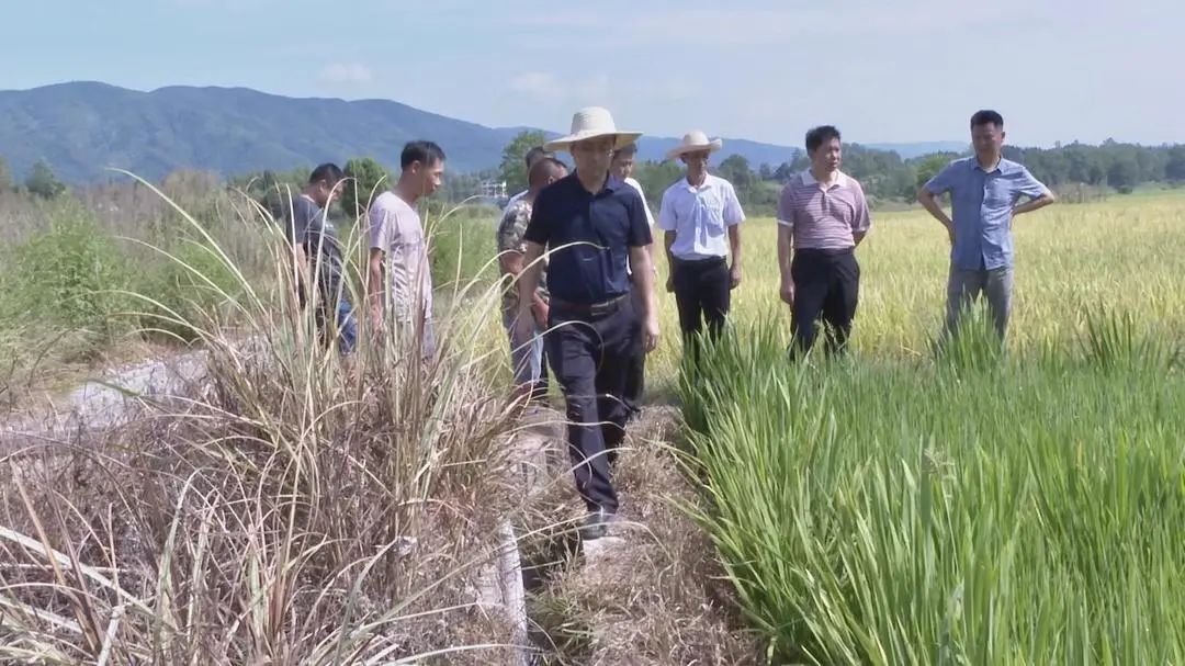 中方县：“三个强化”党建引领防旱抗旱保收工作