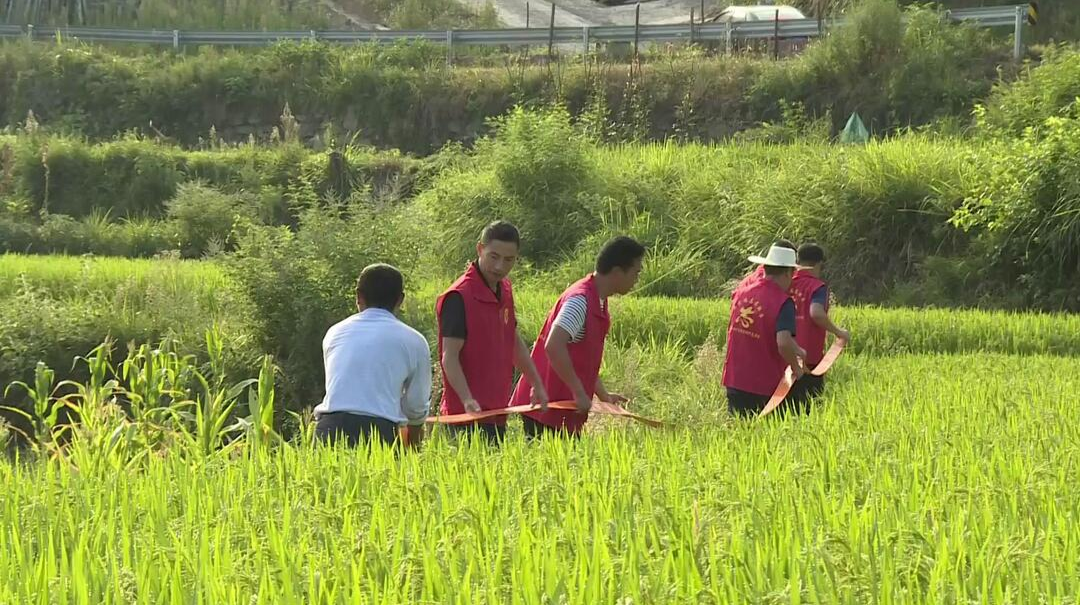 视频|中方袁家镇桂花村：干部为民“解渴”