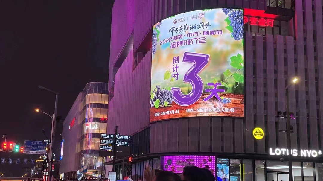 2022年湖南·中方·刺葡萄品牌推介会在长沙全面造势！