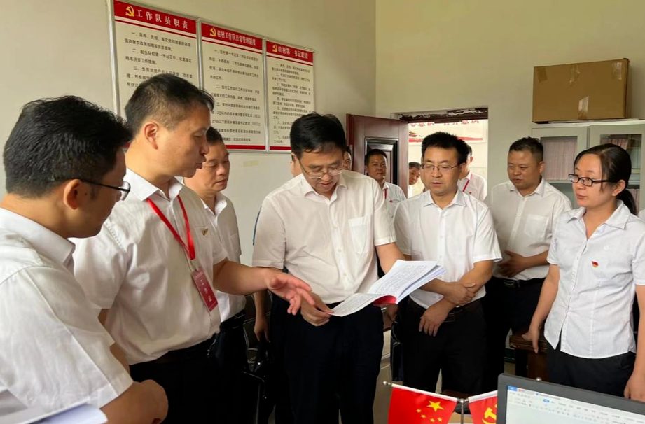 省纪委常委、省委巡视办主任罗智斌到中方调研村（社区）巡察工作