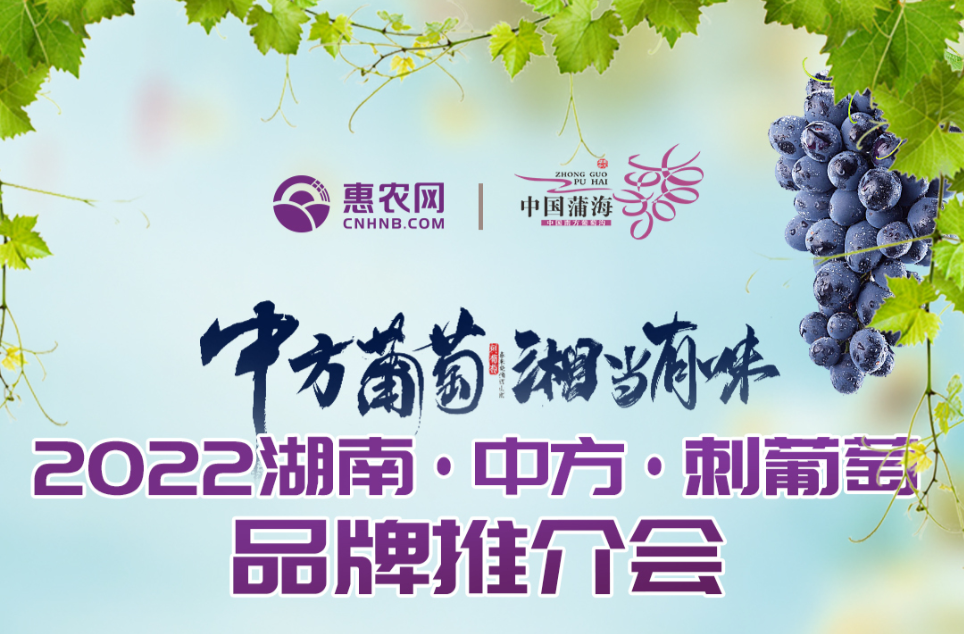 倒计时1天！2022湖南·中方·刺葡萄品牌推介会重磅来袭