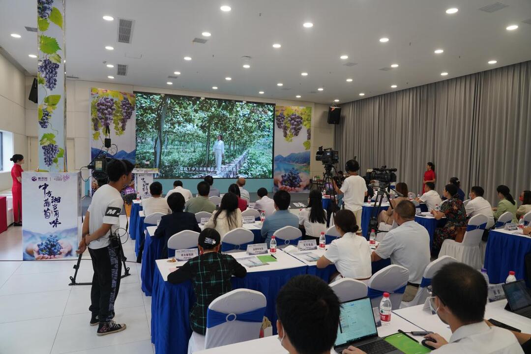 中方“湘珍珠”刺葡萄系列产品亮相星城