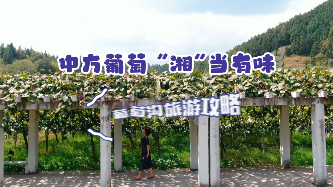 中方葡萄“湘”当有味，赶快收好这份中国南方葡萄沟旅游攻略！