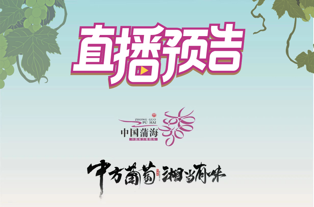 直播预告|9月5日9：08，掌心中方APP现场直播2022'湖南·中方刺葡萄文化旅游节暨农民丰收节，欢迎收看！
