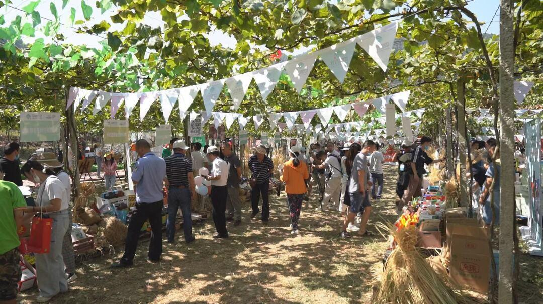 视频|中味方好农特集市，主播带您逛个够！