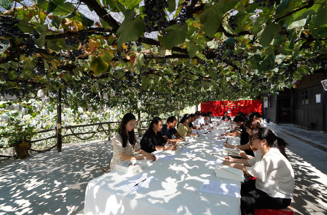 视频|怀化中方：葡萄架下的读书交流会