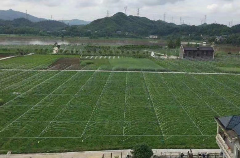喜迎二十大·非凡的十年|抢抓创业窗口期 跑出发展加速度 ——中方镇党建引领乡村振兴纪实