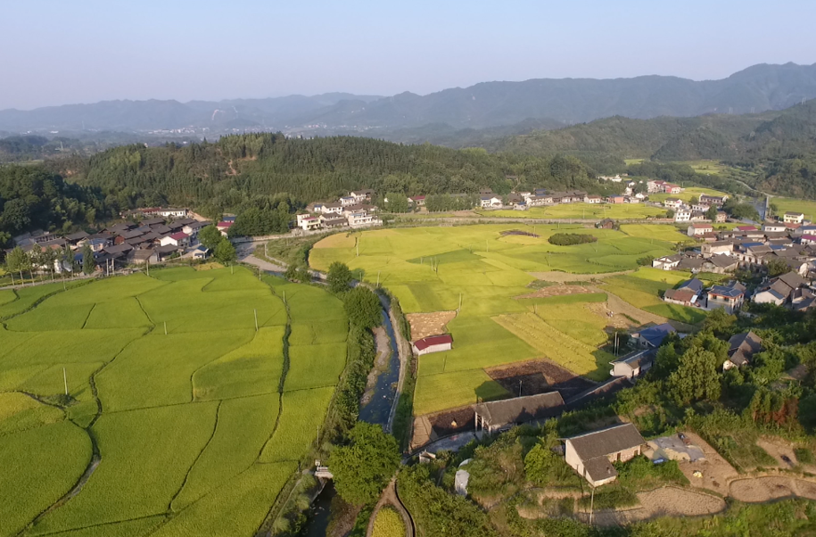 希望的田野|中方：推行“农机共享”模式 粮农尽享机械化“红利”