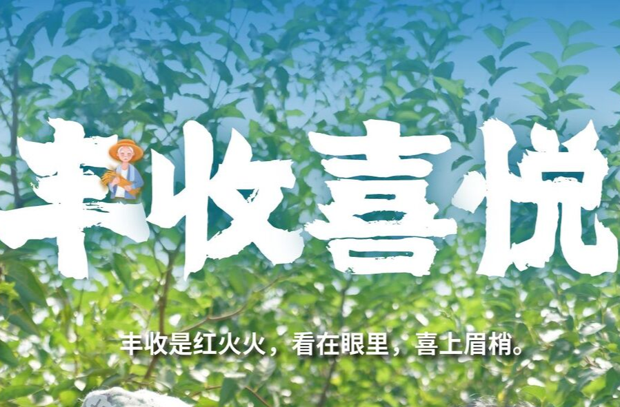 海报|秋日丰收 农民笑颜开