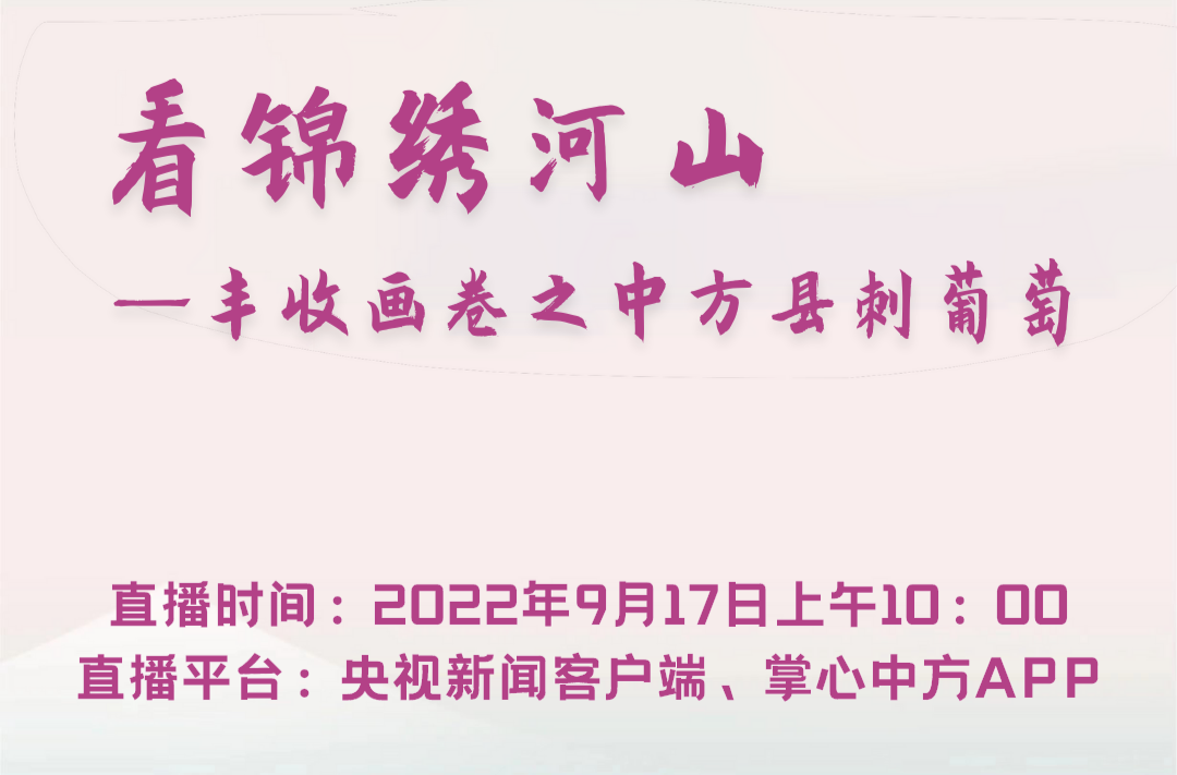 央视新闻直播丨看见锦绣山河——中方刺葡萄丰收画卷