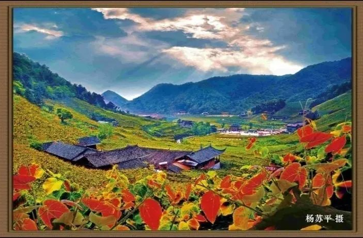 中方文苑 第11期|刺葡萄文旅节专辑(三)：最美葡萄沟