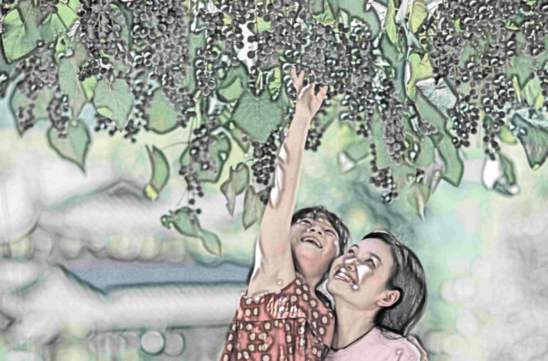 楹联、诗词|刺葡萄文旅节专辑(四)： 楹联诗词话蒲海