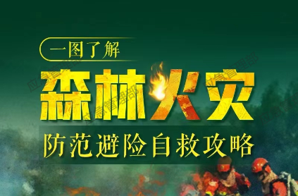 一图了解森林火灾防范避险自救攻略