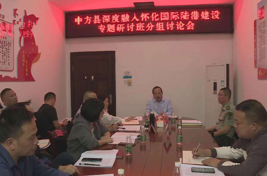 深度融入怀化国际陆港建设专题研讨｜向付和参加第四组分组讨论