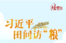 习声回响｜粮食安全是“国之大者”